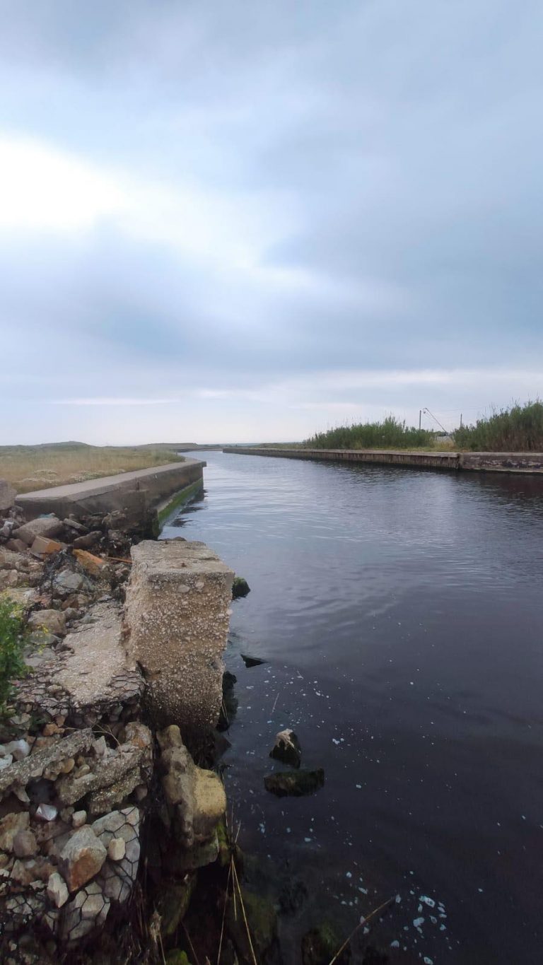 280106844_457525056170865_9144921751067629129_n