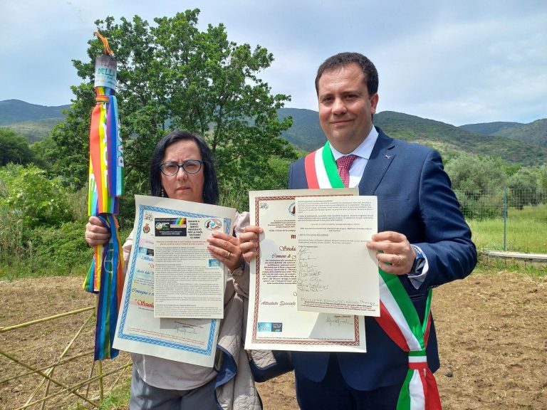 344260141_942224533593347_5100505623040093358_n