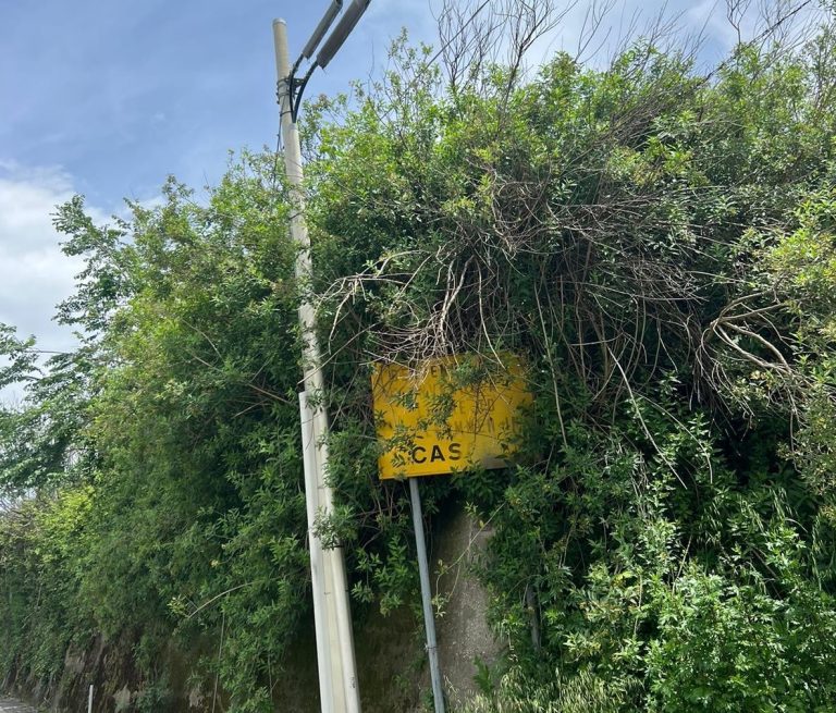 copertina casale ccc