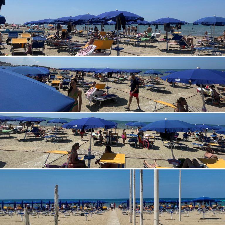 8CAA62E8-F09B-4699-9656-0D548C4C89A9