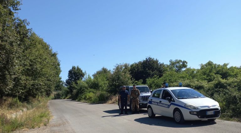 2adbf277-f4fa-4c06-bf70-17cd634ba806