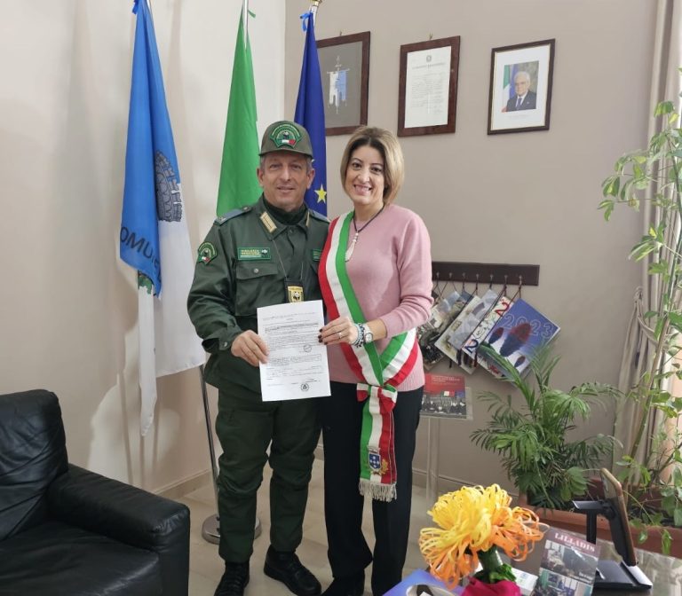 91d2f6dd-0836-42c9-ae02-018c85027566