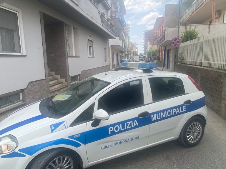 ac356544-21d2-4cb8-bdbc-e6a34e6e65fc