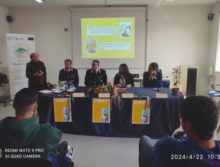 7c974aad-736a-4569-9c1a-d813fa3d6528