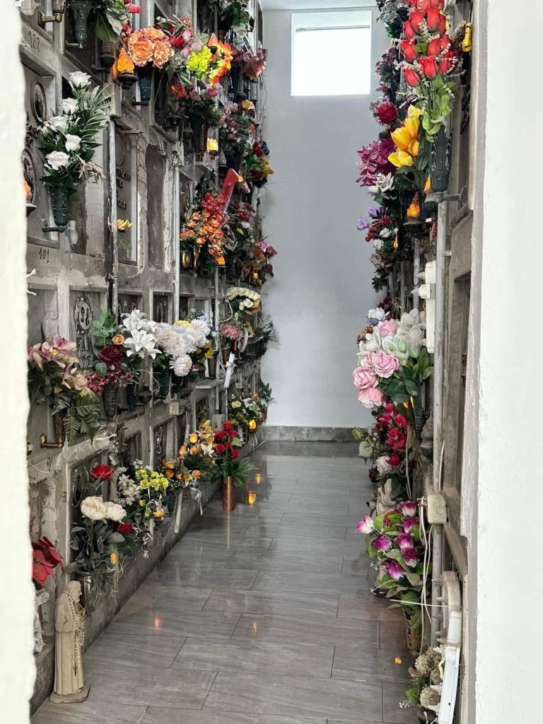 54517cb1-c9ad-4aa1-a9ba-41c08e4ae14e