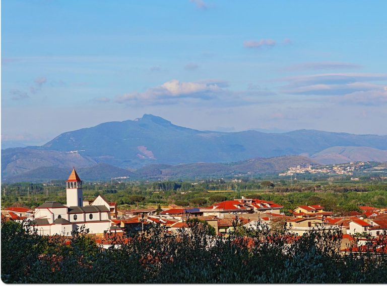 falciano del massico