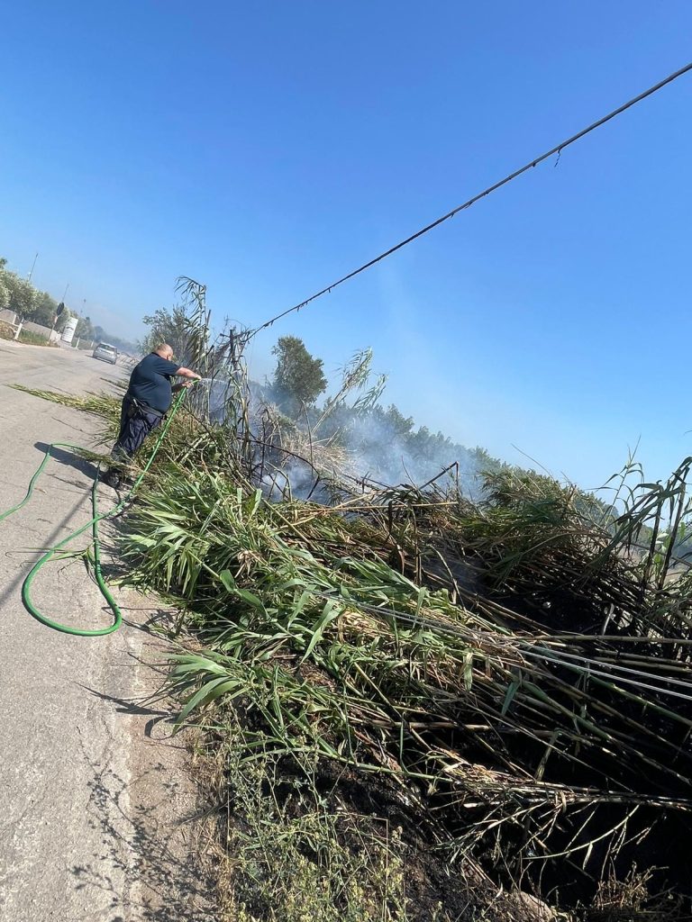 6188c231-539a-4fe9-a89e-97751b14aabd