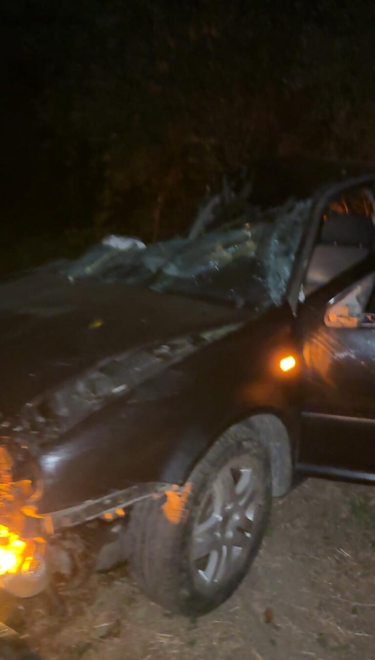 c82f93c7-aec4-40c5-9a7b-288d788a82b8