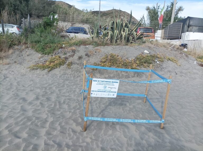 a67029bf-3992-4b78-ae1d-496eb1b377f8