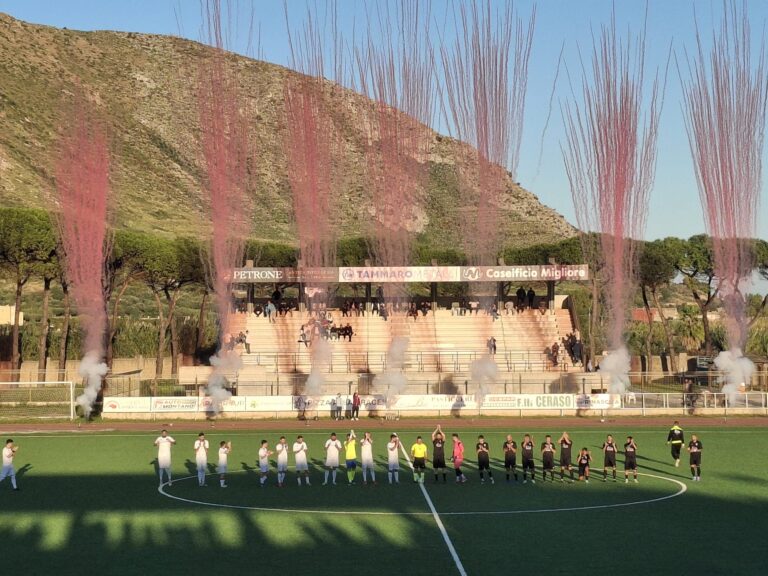 4243c7f2-d329-4582-a728-ce2b2a8c2e5a