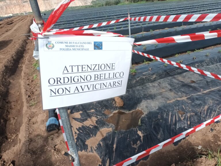 76549bfd-f585-40a5-9ce4-6b06099110bb