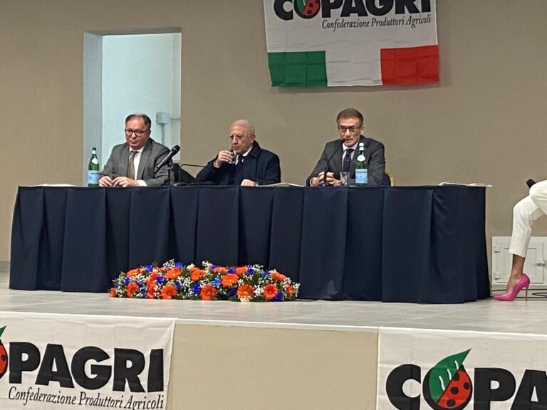 WhatsApp Image 2025-02-24 at 18.36.08