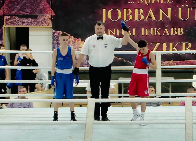 f8355b9b-ae4c-411a-b459-a1902f671105