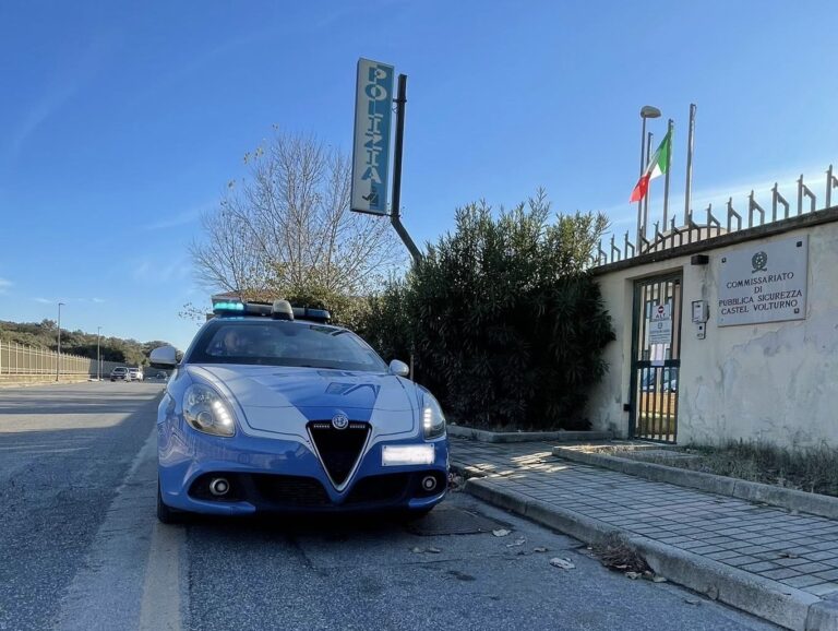 036891d5-25d4-47bb-826f-af67a616ed6c