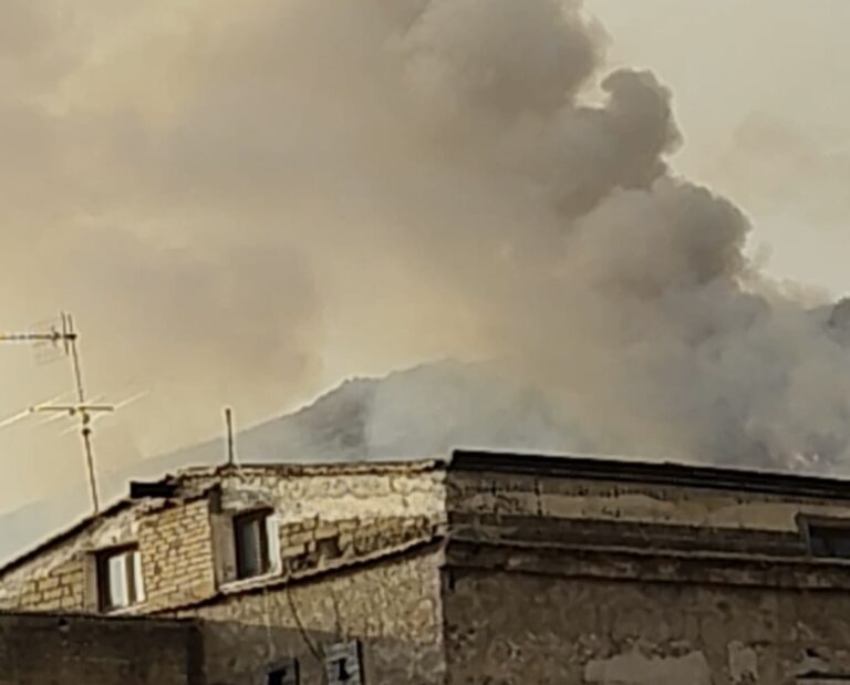 08ba1e54-3a9b-452e-aa62-d84ce39dcd37