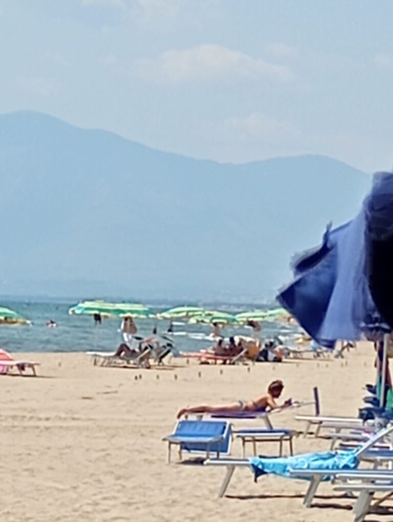 cd57249f-b306-44e3-987b-0106d2f87da7