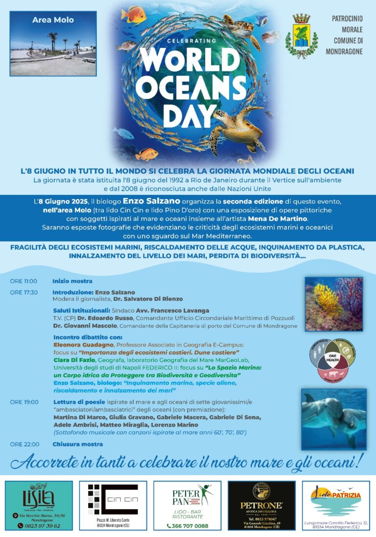 d0eba5ed-7c48-407e-85fe-81161248e9dc