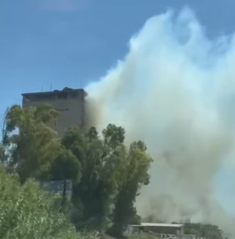 da4d3f55-eeba-4e89-a5e1-cbacb5ad9b80