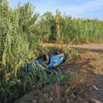MONDRAGONE – Brutto incidente all’altezza di Mandara: gruppo di amiche fuori strada a bordo dell’utilitaria
