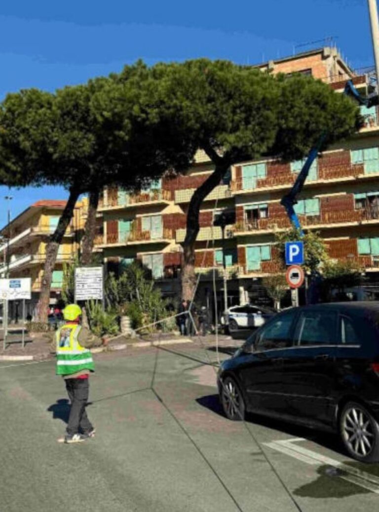 2067144c-87ef-4aaa-98b9-7029f6890867