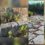 Via Appia antica al centro di un Piano regionale: al via la valorizzazione del tracciato storico