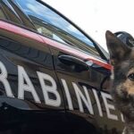 MONDRAGONE – Maxi blitz ai Palazzi Azzurri: arresti, denunce e sequestri. Tutti i dettagli