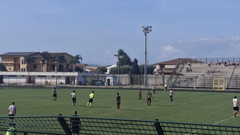 e131d502-0b68-447d-9ea7-1c648b7c713a