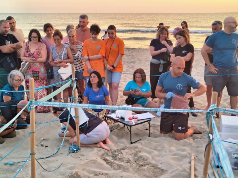 eb98e864-2c27-4603-902f-190514fefb03