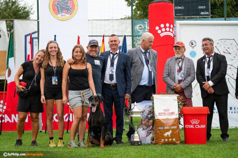 f73ea2ba-5d26-43a8-a11e-e3d50bd7eb6d