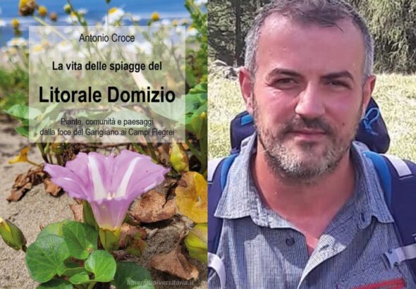 La vita delle spiagge del L. Domizio di A. Croce