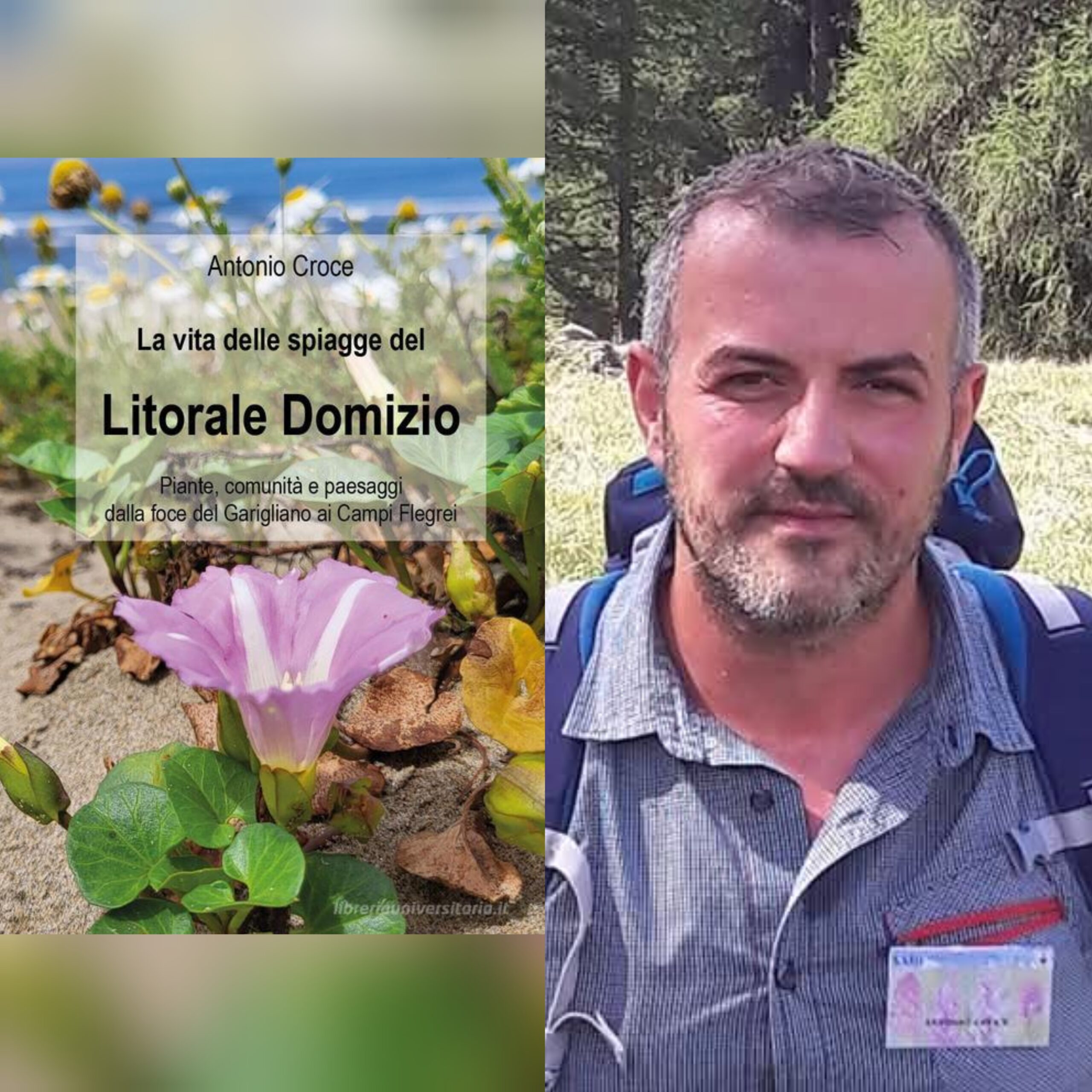 La vita delle spiagge del L. Domizio di A. Croce