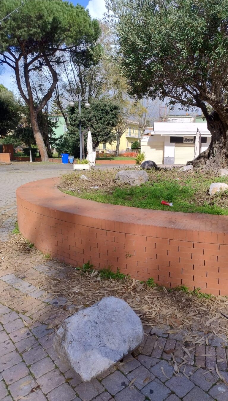 c31c306e-2613-4cb0-acae-e2497b60ab59