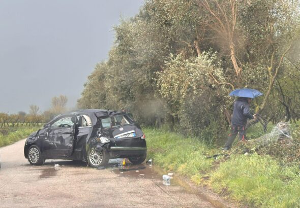 653704058_1576439351154445_732994619760248248_n