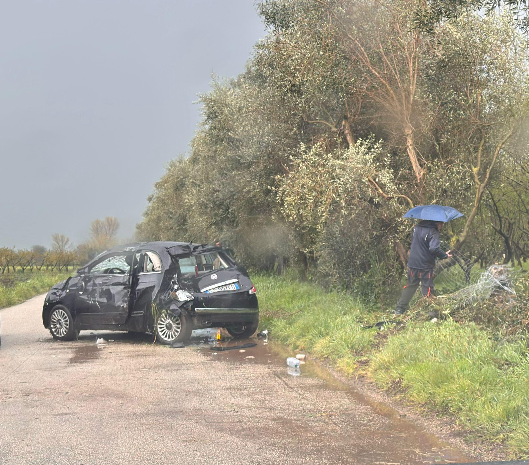 653704058_1576439351154445_732994619760248248_n