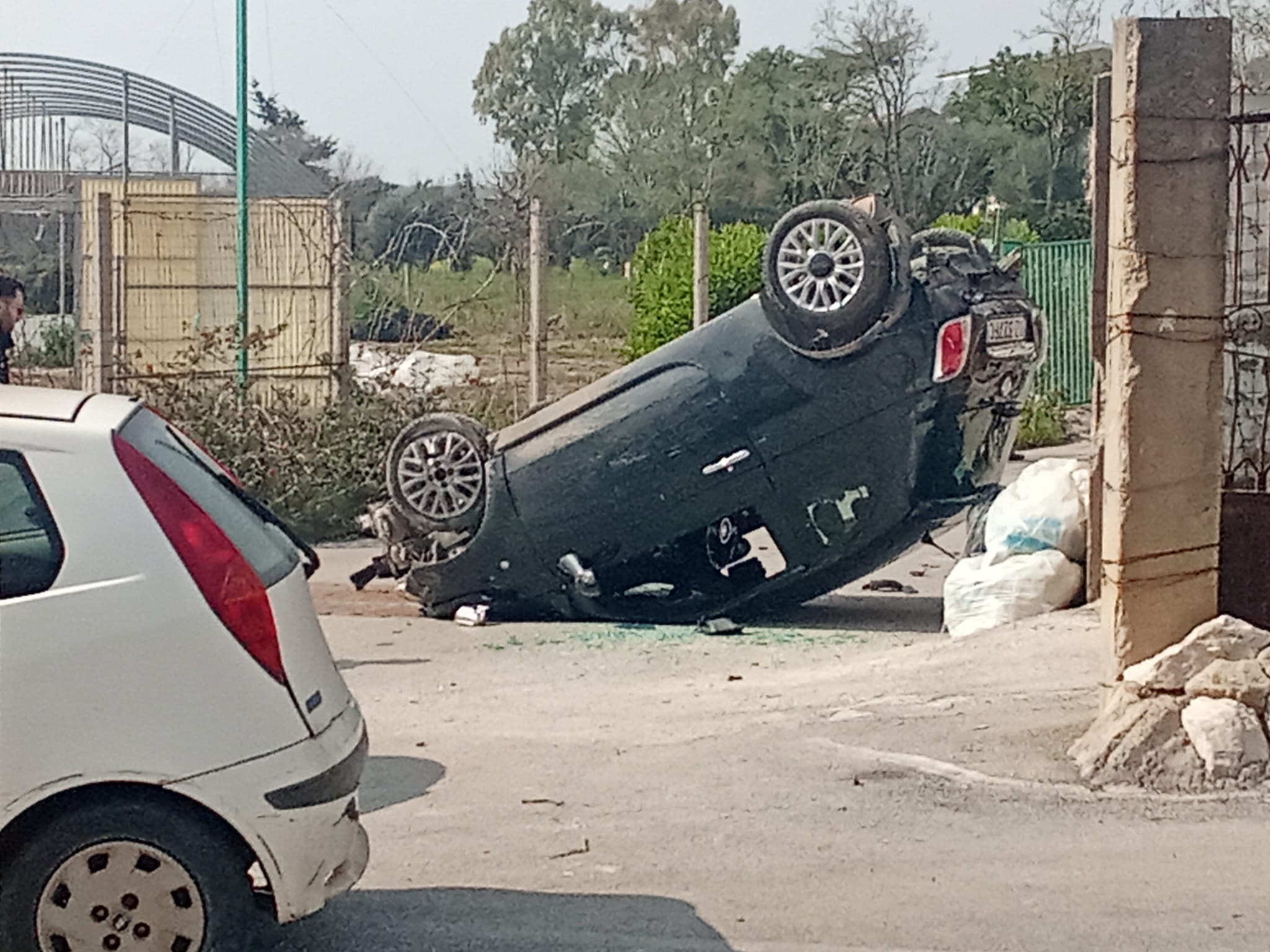 PHOTO-2026-03-11-13-46-19