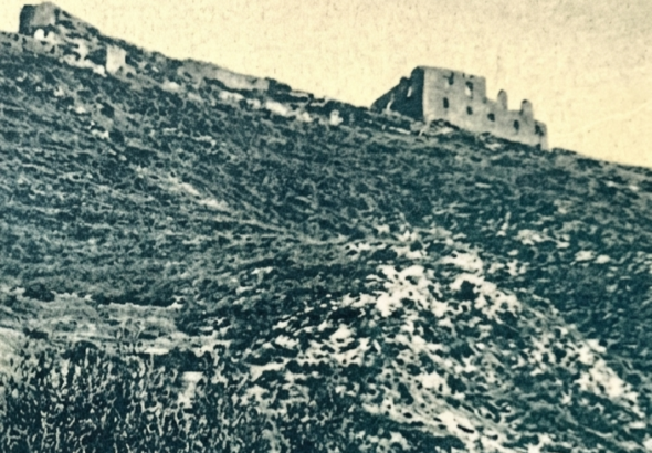 IMG_5159